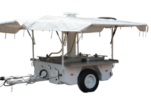 Generalsaniert Kärcher TFK 250 gebraucht kaufen | feldkueche.de